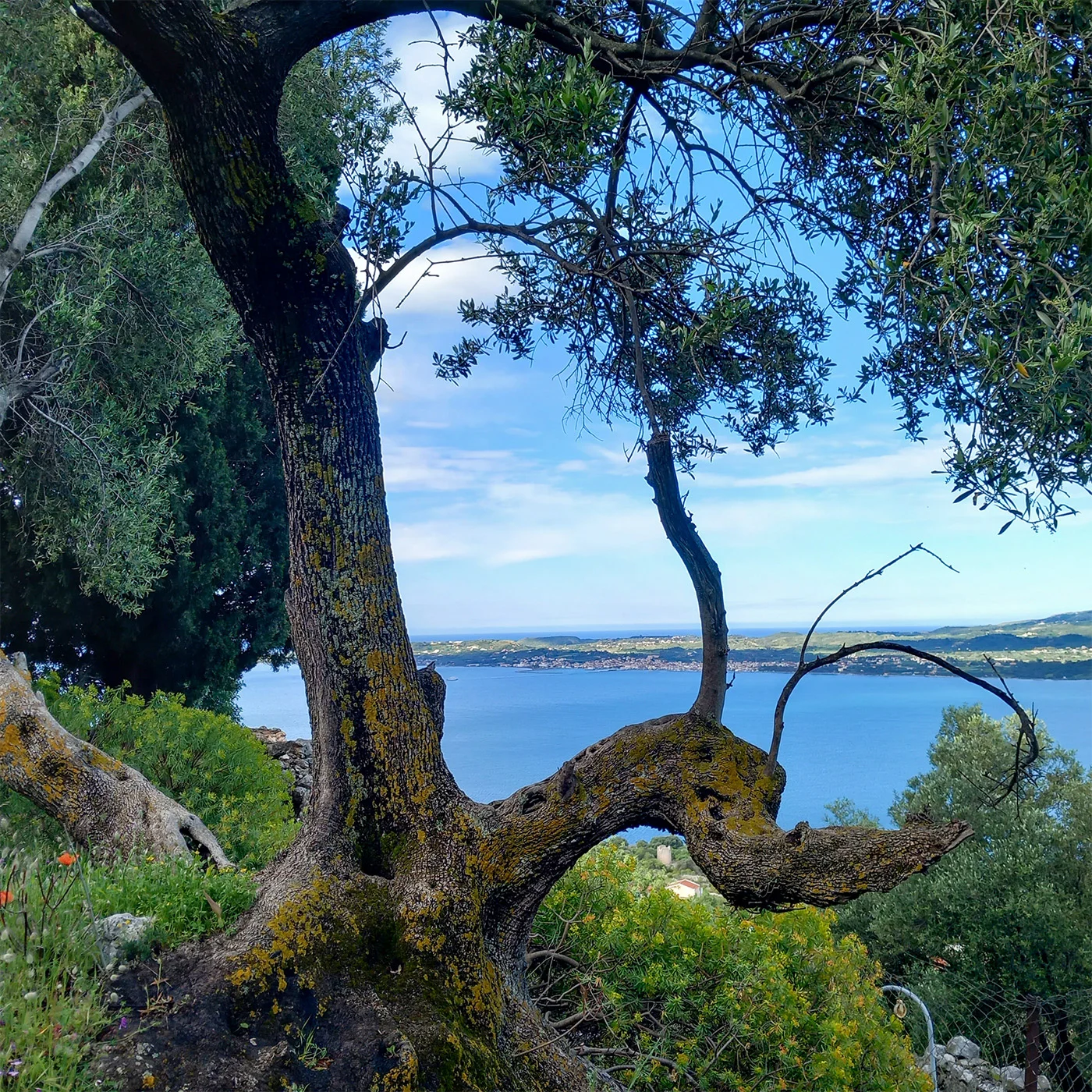 Kefalonia Walking Tours - Footsteps of Farsa Kefalonia - Kefalonia Hiking - Old Farsa Walking Tours Kefalonia - Kefalonia Walking Trails - Kefalonia Old villages - Kefalonia Hiking Tours - Farsa Kefalonia